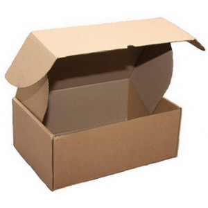 Brown Corrugated Express Boxes