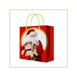 Promotion Gifts Packaging Bags
