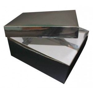 Silver Card Paper Collapsible Box 