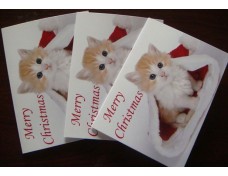 christmas cards 
